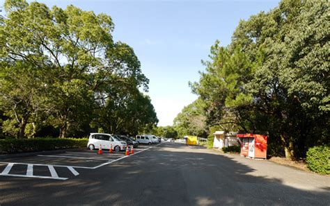 ハッテン 宮崎|【ハッテン場・公園】阿波岐原森林公園